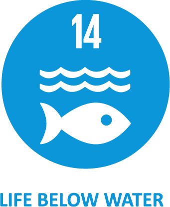 Asset 13SDGs
