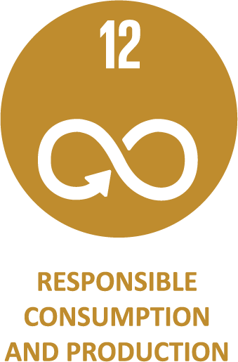 Asset 3SDGs
