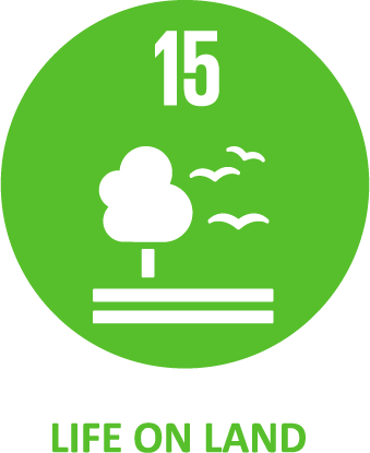 Asset 5SDGs
